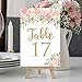 Hadley Designs 1-25 Navy Blush Floral Table Number Double Sided Signs for Reception, Restaurant, Birthday Event, Calligraphy Printed Numbered Card Centerpiece Decor Setting Reusable Frame Stand (4x6)