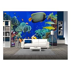 Colorful Underwater Offshore Rocky Reef with Coral and sponges and Small Tropical Fish Swimming by in a Blue Ocean - Removable Wall Mural | Self-Adhesive Large Wallpaper - 66x96 inches