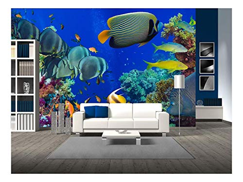 wall26 - Colorful Underwater Offshore Rocky Reef with Coral and sponges and Small Tropical Fish Swimming by in a Blue Ocean - Removable Wall Mural | Self-Adhesive Large Wallpaper - 100x144 inches