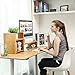 SONGMICS Bamboo Monitor Stand Computer Riser with 2-Tier Desktop Storage Desk Organizer for Home Office Natural ULLD206