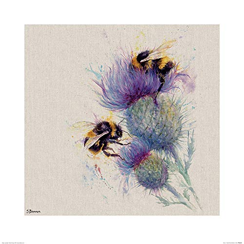 Jane Bannon (Bees On Thistle 60 x 60cm Art Print