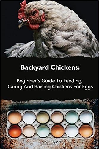 Backyard Chickens Beginner S Guide To Feeding Caring And Raising