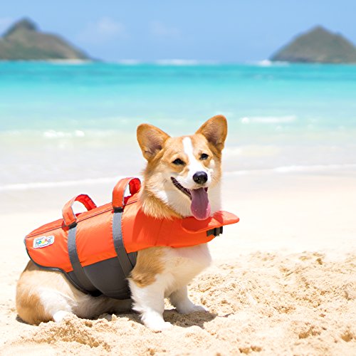 Outward Hound Medium Dog Life Jacket, Granby Splash