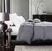 ROSECOSE Luxurious Medium Weight Goose Down Comforter King Size Duvet Insert All Seasons Hypo-allergenic 1200 Thread Count 750+ Fill Power 100% Cotton Shell Down Proof Tabs Gray (King, Gray)