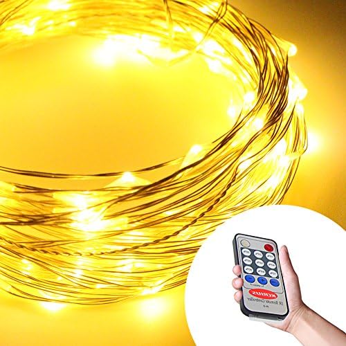 KCRIUS(TM)10M 12V 100 LEDs Indoor/Outdoor Silver Coating Copper Wire LED Starry light 33ft LED String Light+Power Adapter+Remote Control