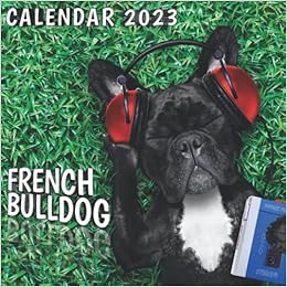 Calendrier 2023 Bouledogue Francais French Bulldog Calendar 2023: 12 Months Calendar 2023 For Women, Men, Kids  & French Bulldog Lovers ,Size 8.5 X 8.5 Inch, Big Box To Write Tasks And  Goals: Black, Yoss: 9798409528256: Amazon.com: Books