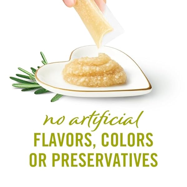 FANCY FEAST SAVORY PUREE NATURALS CHICKEN FLAVORED IN A DEMI-GLACE SQUEEZABLE ADULT CAT TREATS, 1.4 OZ.