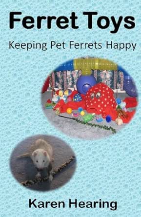 amazon ferret toys