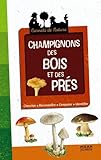 Image de Champignons des Bois et des Champs Ne