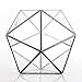 NCYP Hanging Geometric Glass Terrarium, Balcony Windowsill Wall Decor Glass Flower Pot, Modern Large Indoor Garden Tabletop Landscape Icosahedron Planter for Succulents Air Plants (NO Plants)