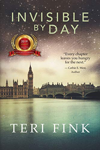 Invisible by Day by Teri Fink