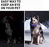 woeita LED Dog Collar Glow Light USB Rechargeable Red - Cut to Fit view 7