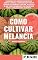 Livro Como Cultivar Melancia