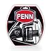 Penn Pursuit II Spinning Fishing Reel