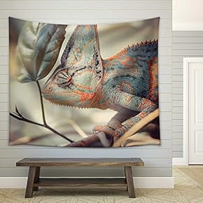 Yemen Chameleon - Fabric Wall Tapestry Home Decor - 51x60 inches