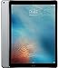 Apple iPad Pro 12.9in Tablet (256GB Wi-FI, Space Gray)(Renewed)