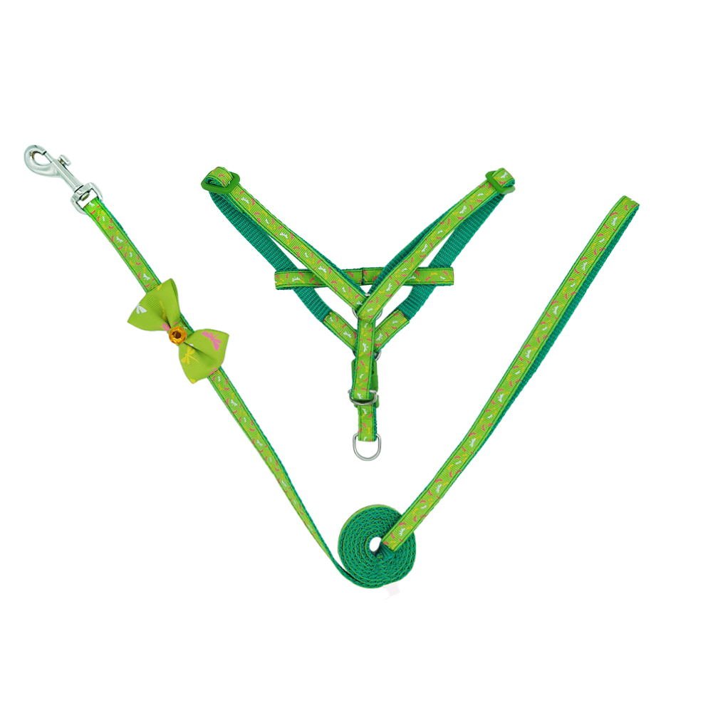 Pettorina Cane con Guinzaglio di Nylon, Durevole Regolabile Imbracatura per Cani, Guinzaglio per Portare il Cane a Passeggio, Verde