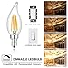 SUNMEG CA10 4W LED Candelabra Bulb, LED Filament Bulb Dimmable, 2700K Warm White, Equivalent to 40W Incandescent Bulbs (6 Pack)