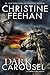 Dark Carousel (Carpathian Novel, A Book 30) by Christine Feehan