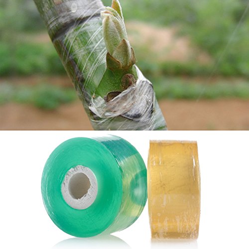 Kangnice 100M Nursery Stretchable Floral Grafting Repair Tape Adhesive Moisture Barrier Floristry Film (Green)