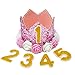 MOO&NOO Dog Birthday Hat for Girls Happy Birthday Tiara Crown with Rose Flowers and Gold Glitter 0-9 Figures for Party(Pink)