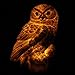 Trenton Gifts Weather Resistant Outdoor LED Solar Owl Light, Garden Stake | White