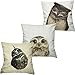LAZAMYASA Animal Fashion Abstract Pug Dog Cushion Cover Case Pillow Custom Zippered Square Pillowcase 18x18 (one Side),Kitty Hawk
