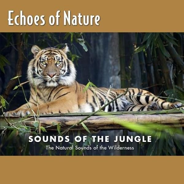 Amazon.com: Tropical Rain Forest: CDs & Vinyl