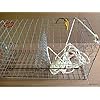Maryland-Blue-crab-pot-trap-Chesapeake-Atlantic-blue-crab-Heavy-Duty Maryland-Blue-crab-pot-trap-Chesapeake-Atlantic-blue-crab-Heavy-Duty