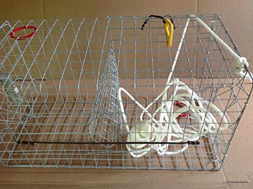Maryland-Blue-crab-pot-trap-Chesapeake-Atlantic-blue-crab-Heavy-Duty Maryland-Blue-crab-pot-trap-Chesapeake-Atlantic-blue-crab-Heavy-Duty