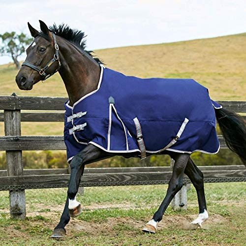 Weatherbeeta Comfitec Essential Standard Neck Medium Navy/Silver/Red 78" Weatherbeeta Comfitec Essential Standard Neck Medium Navy/Silver/Red 78"
