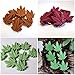Fewo 3 Pack Marijuana Leaf Chocolate Candy Molds Maple Leaf Silicone Molds for Edible Jello Gummy Butter Fat Bomb Baking Cake Cookie Brownies Making Mini Soap Crayon Melts