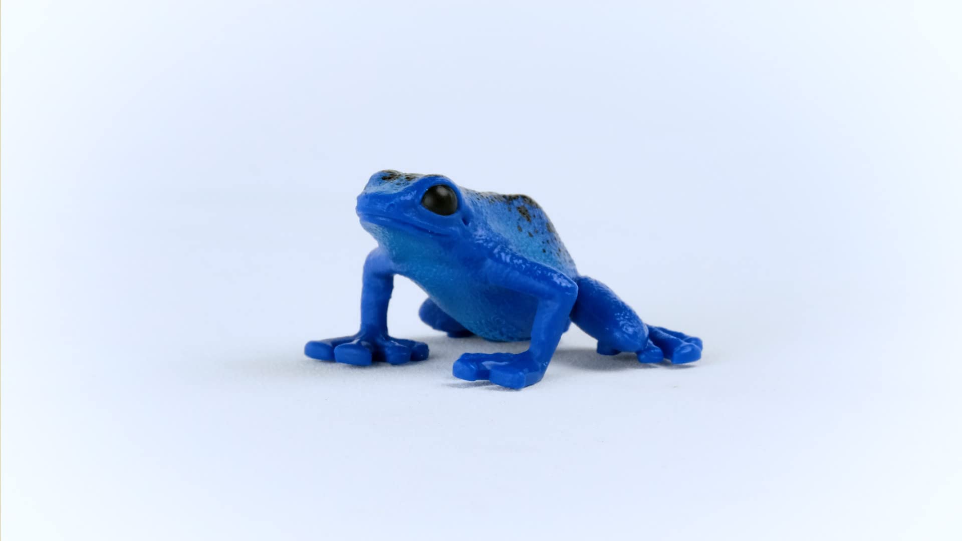 SCHLEICH WILD Life | Blauer Pfeilgiftfrosch 14864 | detailgetreue Tierfiguren | Zoo Spielzeug | tolles Geschenk für Jungen und Mädchen | Deko für Geburtstag | Spielfigur ab 3 Jahren | 5 x 5 x 3 cm 3