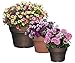Capello Planter, 15.5