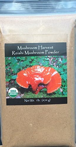 Reishi Mushroom Powder CERTIFIED ORGANIC 1lb. Bulk
