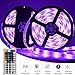 Targherle LED Strip Lights, LED Light Strip 32.8 Feet/10M 5050 RGB Flexible Color Changing Strip Light with 44 Keys IR Remote Controller and 12V 5A Power Supply
