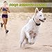 Petrainer Upgraded Model Rechargeable & Waterproof Remote Dog Training Collar 330 yd Electric Dog Bark Collar with Beep/Vibration/Shock Collar for Dogs