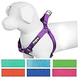 Blueberry Pet 7 Colors Step-in Classic Dog Harness, Chest Girth 19.5