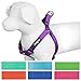 Blueberry Pet 7 Colors Step-in Classic Dog Harness, Chest Girth 19.5