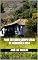Livro PARA ENTENDER CAMPO GERAL (ENSAIOS LITERÁRIOS Livro 10)