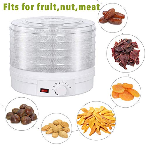Food Dehydrator,5 Trays Fruit Vegetable Nuts Dryer, Temperature Preset Food Preserver for Fruits,Vegetable,Beef Jerky Maker - Thumbnail 6