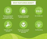 Nature’s Root Organic Tulsi Powder 60g - Holy Basil Superfood Supplement view 6