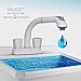 CLEANFLO 481, Pull Out Laundry Faucet, 3 Hole Installation, High 8 INCH-Arc Spout, 2 Handles, 2 Spray Settings, Advanced High-Quality Polymer Materials, Lead-Free, Non Corrosive, White Finish