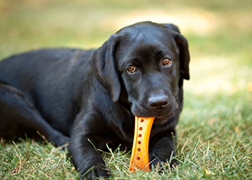 Hartz Chew 'n Clean Dental Duo Bacon Flavored Dog Chew Toy - Medium