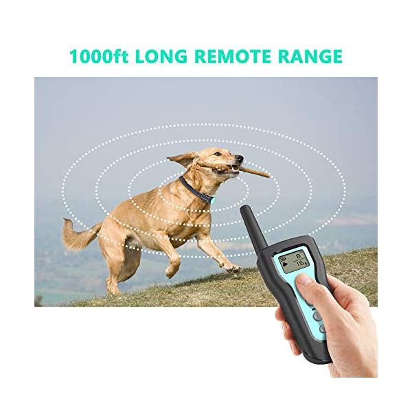 besthing dog training collar manual