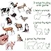 Fridge Magnets for Toddlers - Magdum - 16 Farm Animal Magnets for Refrigerator - Magnetic Animals for Children - Realistic magnets for Kids – Learning Set - Baby Educational Gift