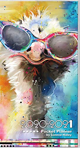 Color Splash - Connie Haley 2020 Pocket Planner by