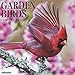 Garden Birds 2020 Wall Calendar by 