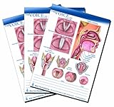Voice and Larynx Tear Off Tablet-50 Sheets Per Tablet-3 Tablets Per Package-8 1/4