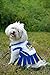 Pets First NBA Golden State Warriors Dog Cheerleader Dress, X-Small